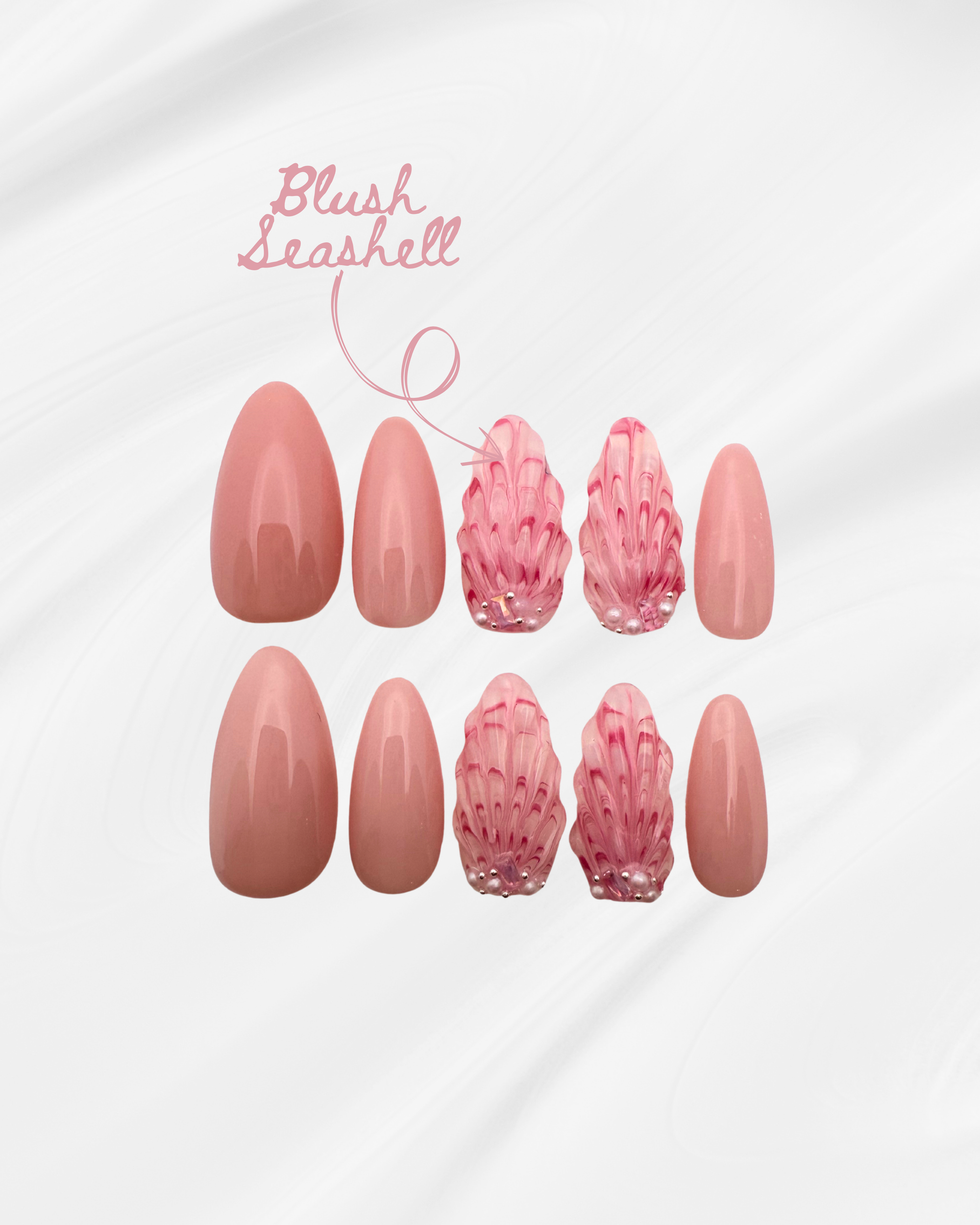 Blush Seashell
